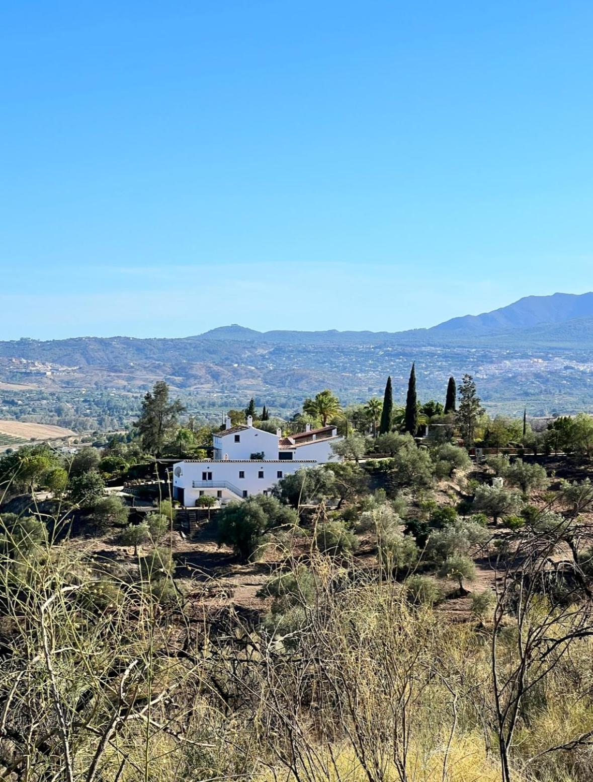 Santa Teresa Bed & Breakfast Andalusien Pizarra Eksteriør bilde