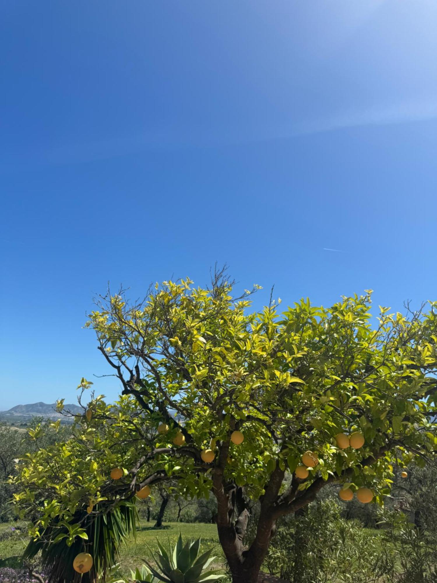Santa Teresa Bed & Breakfast Andalusien Pizarra Eksteriør bilde