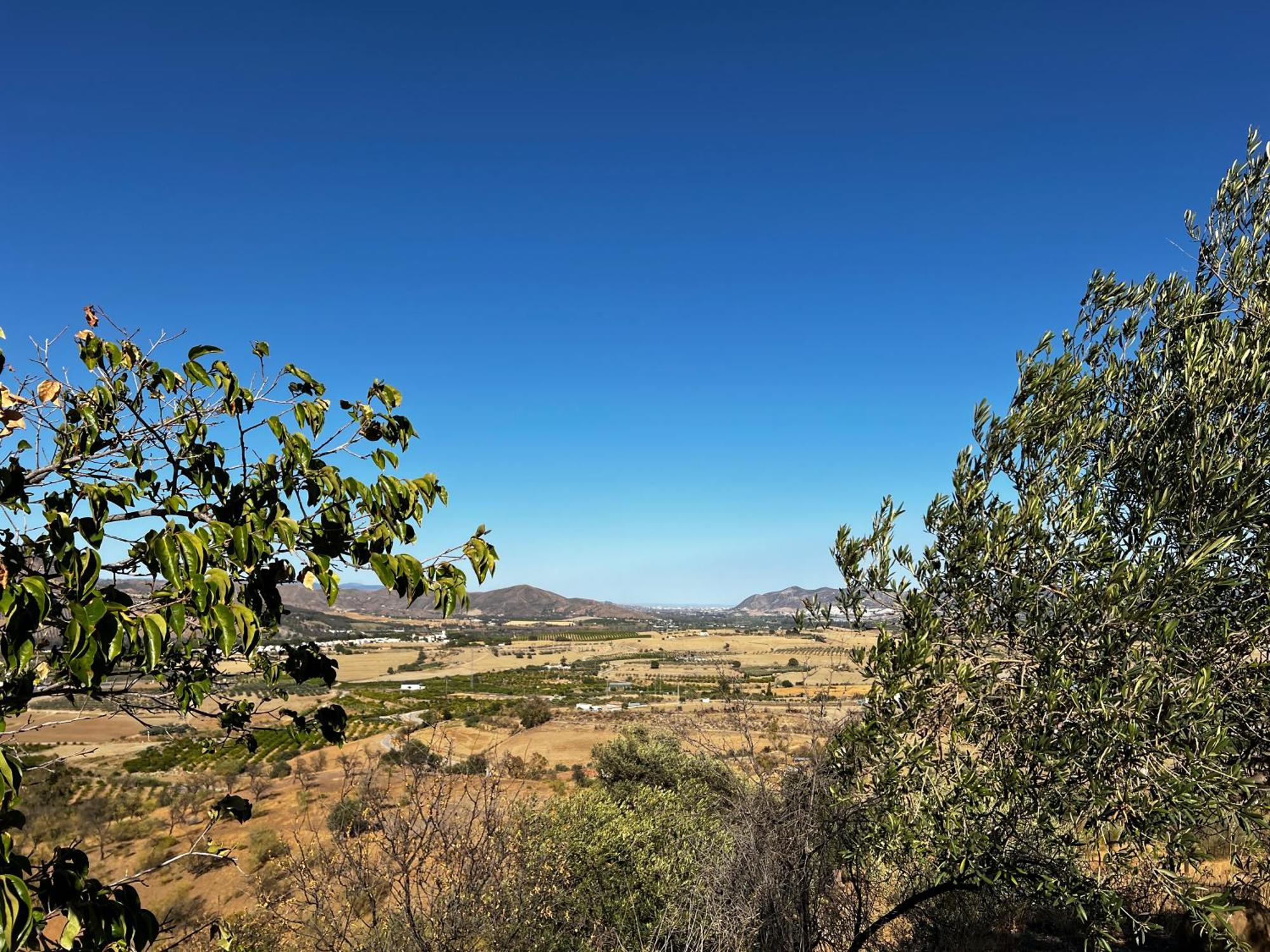Santa Teresa Bed & Breakfast Andalusien Pizarra Eksteriør bilde
