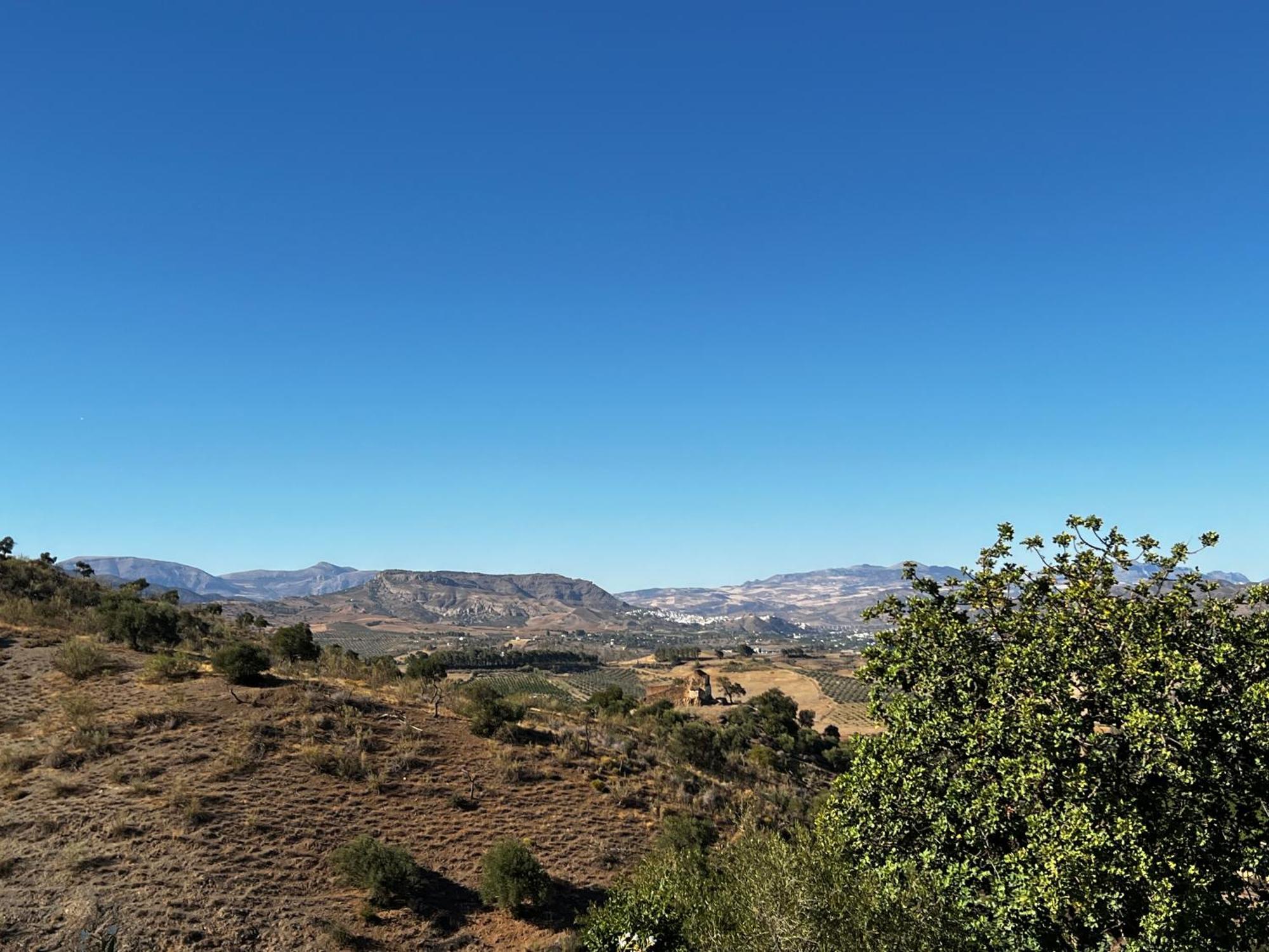 Santa Teresa Bed & Breakfast Andalusien Pizarra Eksteriør bilde