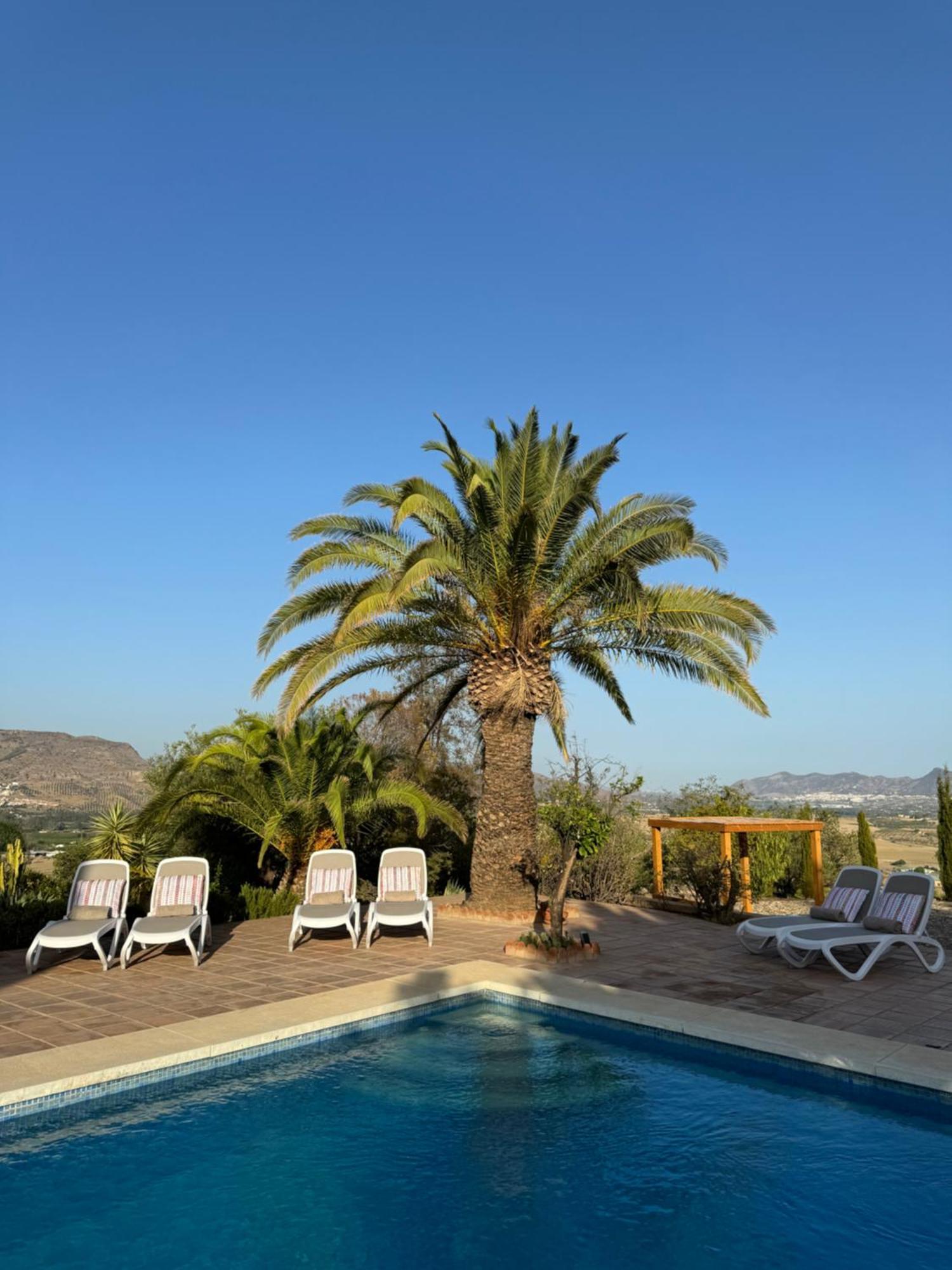 Santa Teresa Bed & Breakfast Andalusien Pizarra Eksteriør bilde